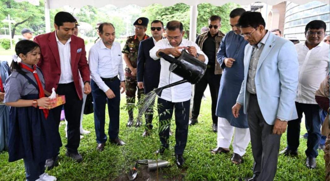 সবাই একটি করে গাছ লাগাবে: প্রধানমন্ত্রী